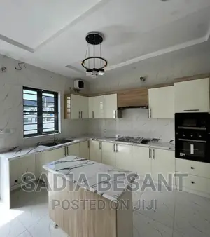 Contemporary Kitchen Cabinet Design With Accessories