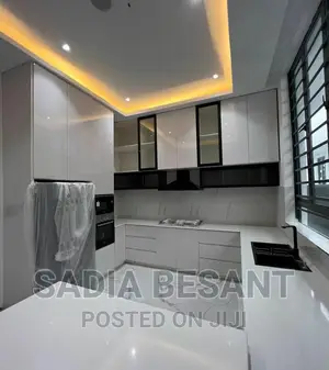 Luxury Kitchen Cabinet Design With Accessories