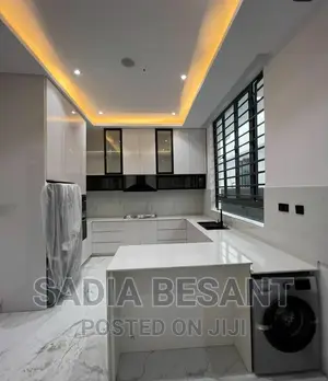 Luxury Kitchen Cabinet Design With Accessories
