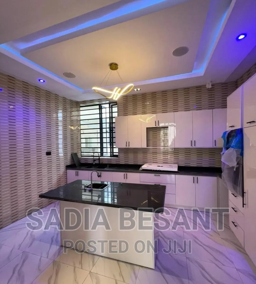 Luxury Kitchen Cabinet Design With Accessories