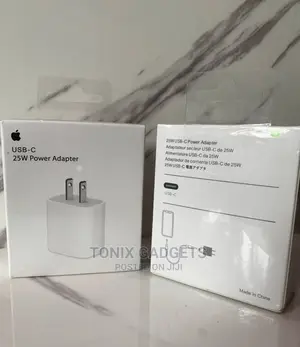 2 Pin iPhone Charger Adapter