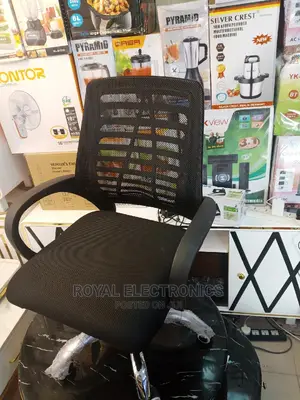 Original Rolling Net Swivel Office Chair