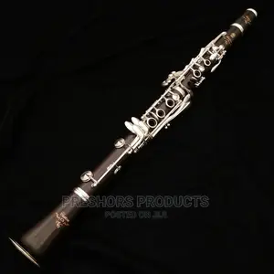 Professional Yamaha Clarinet