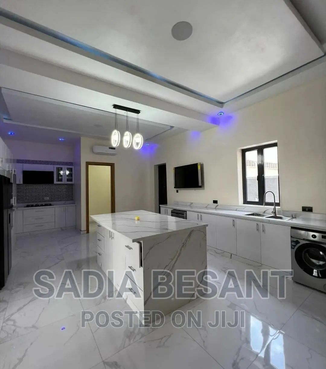 Luxury Kitchen Cabinet Design With Accessories