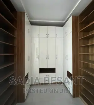 Luxurious Walk-in Closet Interior Design