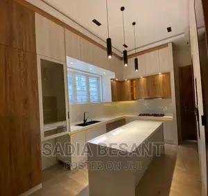 Luxury Kitchen Cabinet Design With Accessories