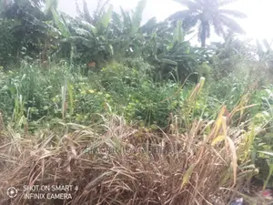 Land For Sale,7.4acrea