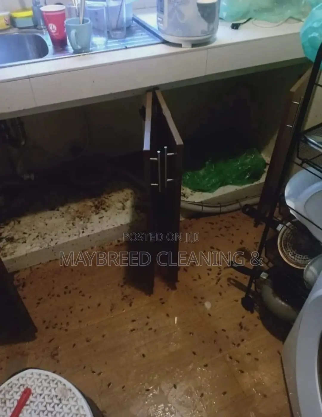 Fumigation