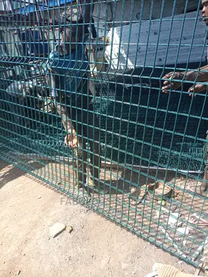 Finger Panel Mesh, Mesh Wire