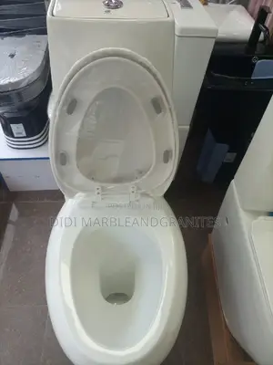 Egg Shape WC Set