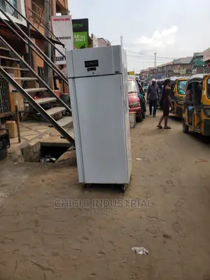 Single Door Industrial Freezer