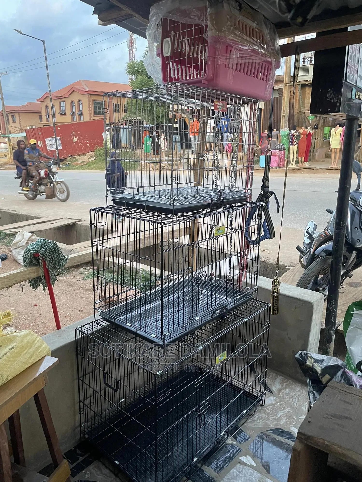 Dog Cages for Your Pet Cat