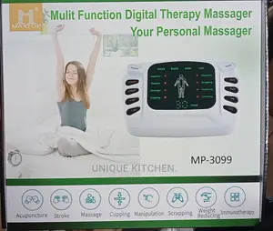 Multifunction Digital Therapy Massager