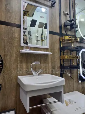 Cabinet Mirrow