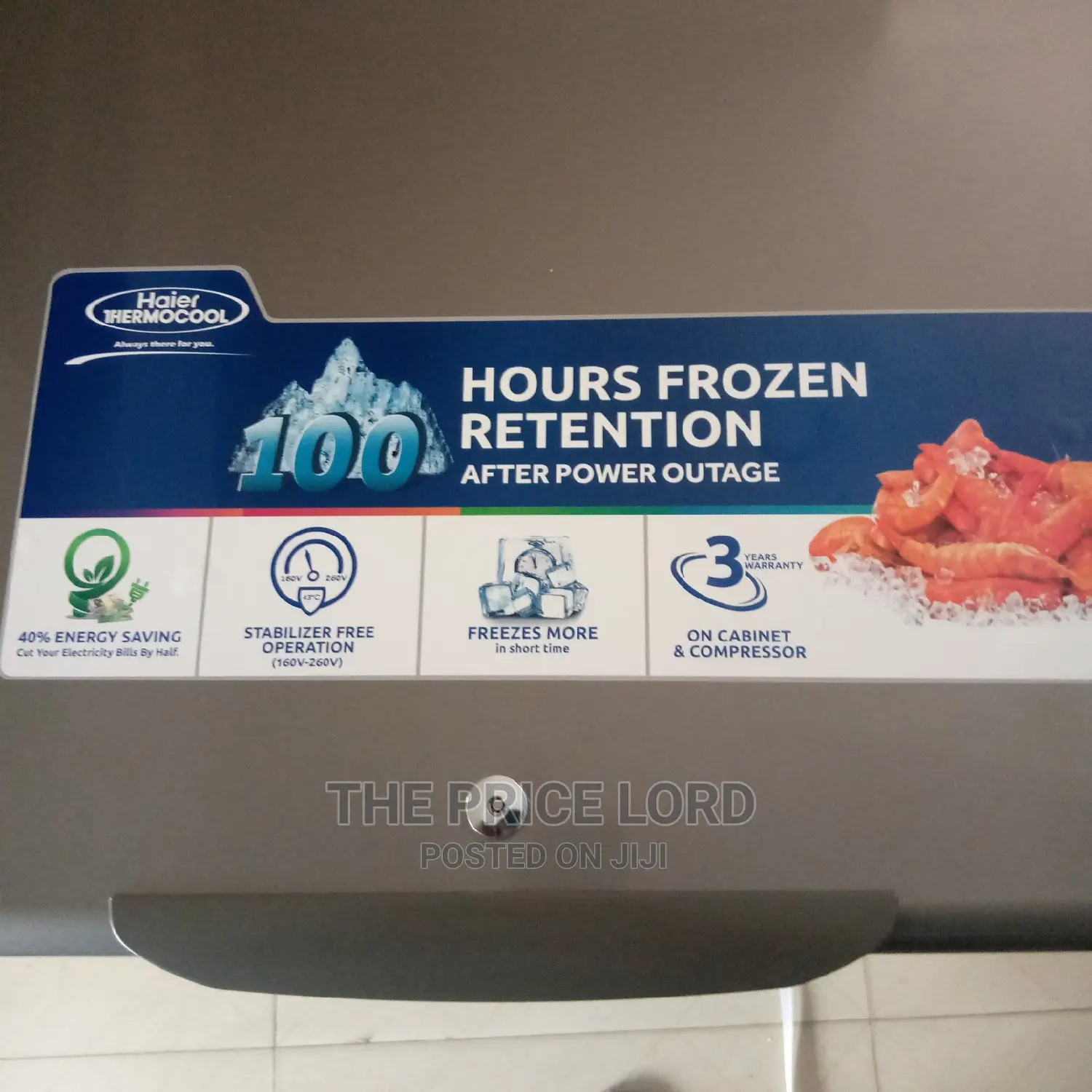 Thermocool Freezer 150has Re Silver