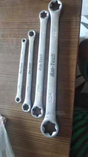 Spline Torx Star E-Ring Spanner