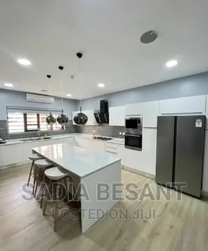Luxury Kitchen Cabinet Design With Accessories