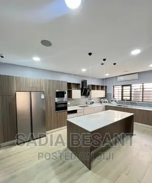 Luxury Kitchen Cabinet Design With Accessories