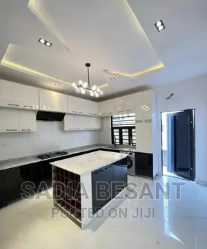 Luxury Kitchen Cabinet Design With Accessories