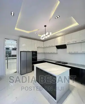 Luxury Kitchen Cabinet Design With Accessories