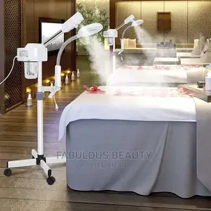 2 in 1 Magnifying Stand Facial Steamer 5x.