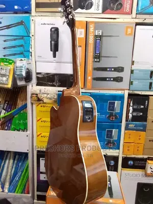 Semi Acoustic Guitar