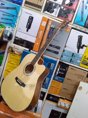 Semi Acoustic Guitar