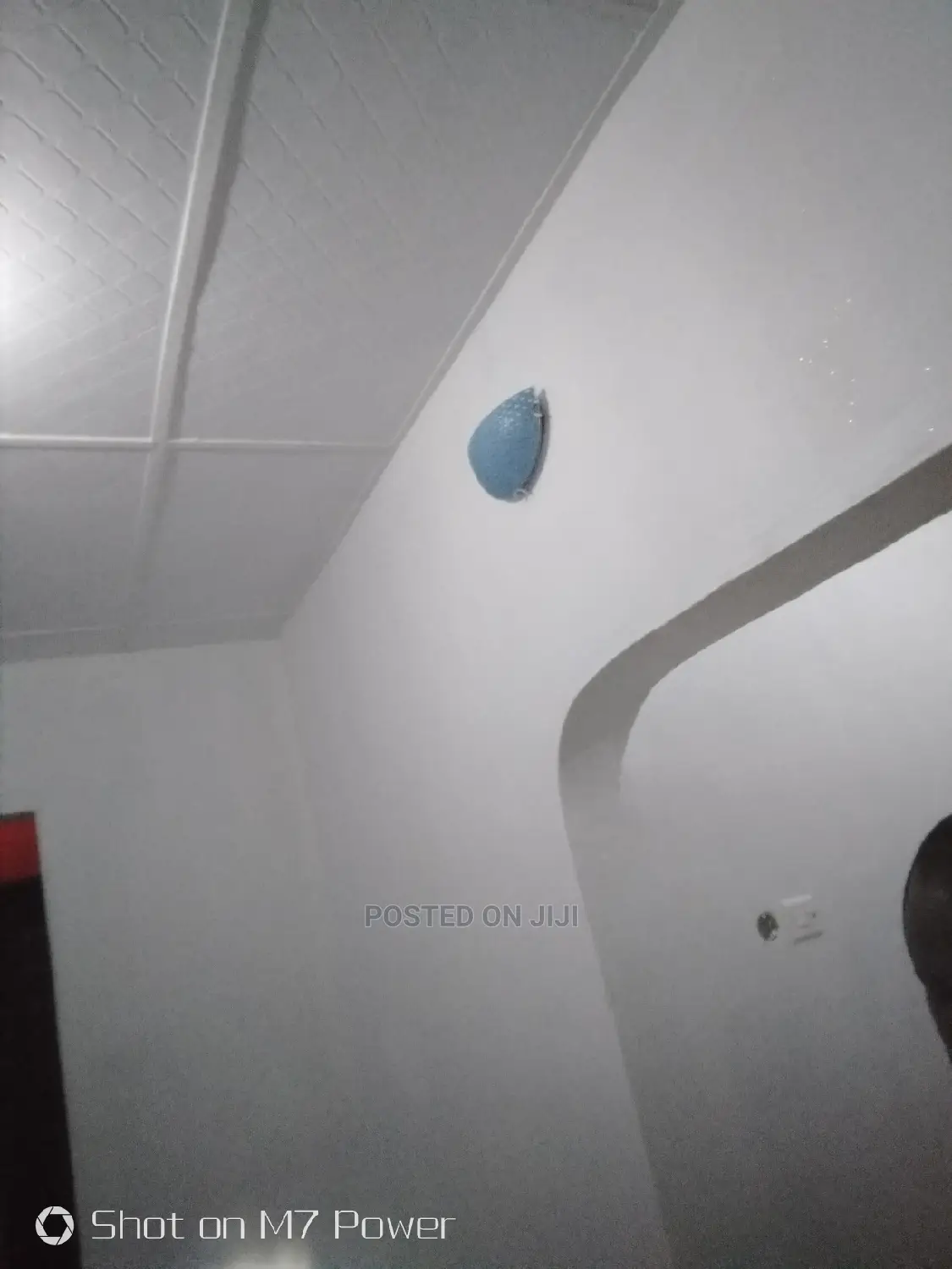 Painting Job