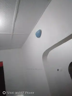 Painting Job