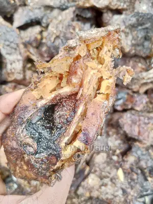 Ezytex Aja Dried Fish