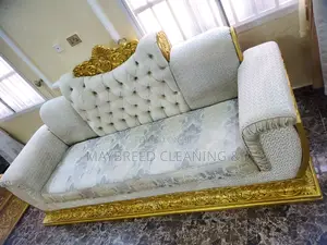 Couch, Sofa, Rug Cleaning