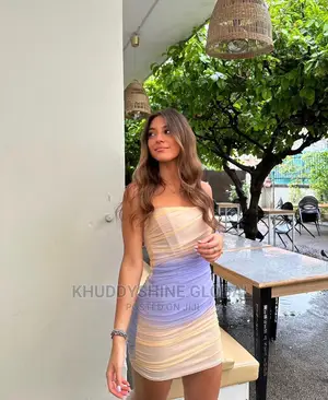 Zara Tulle Corset Tube Dress
