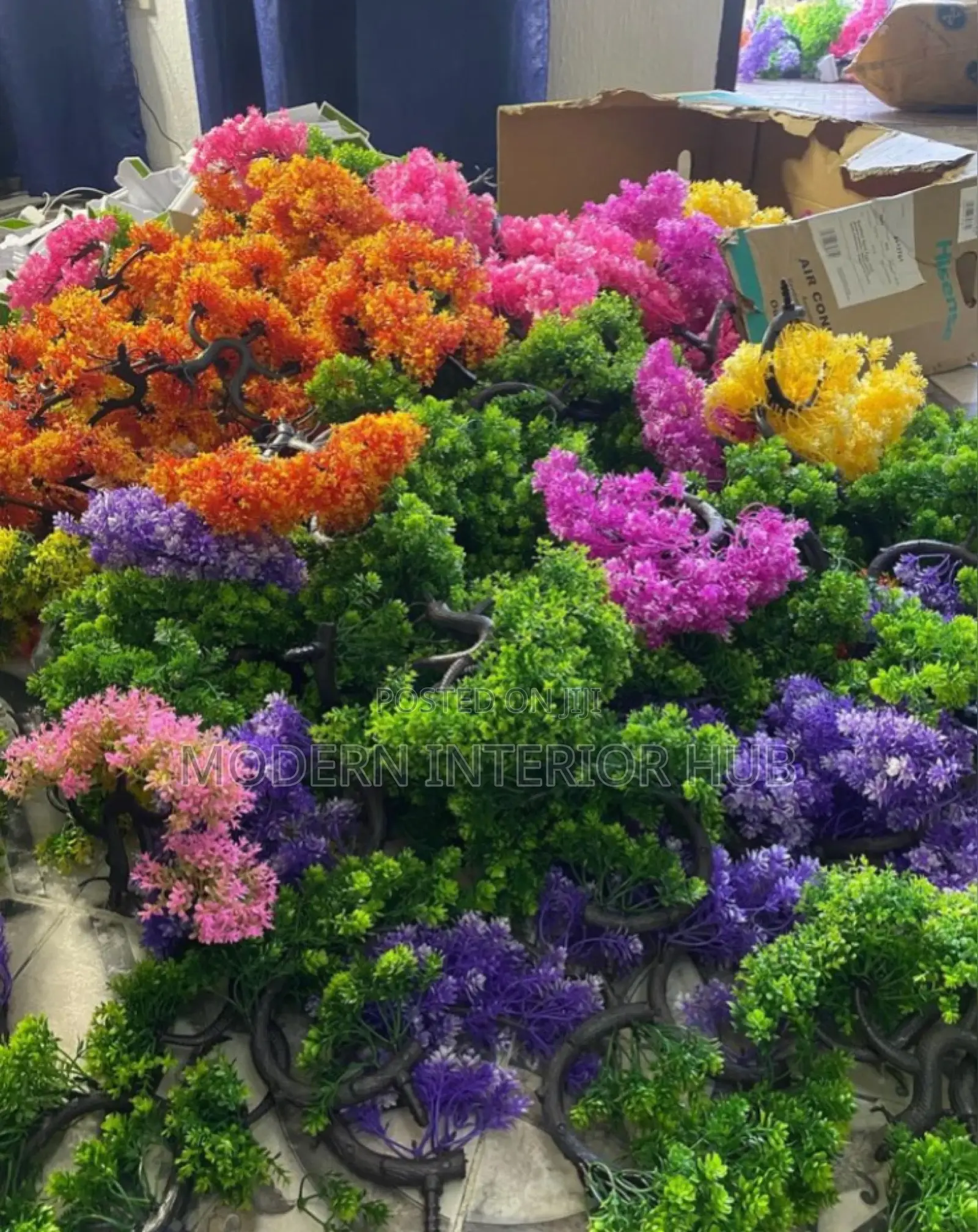 Cup Flower