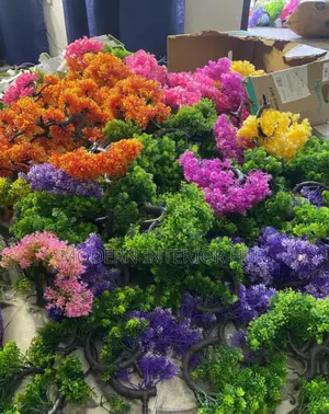 Cup Flower