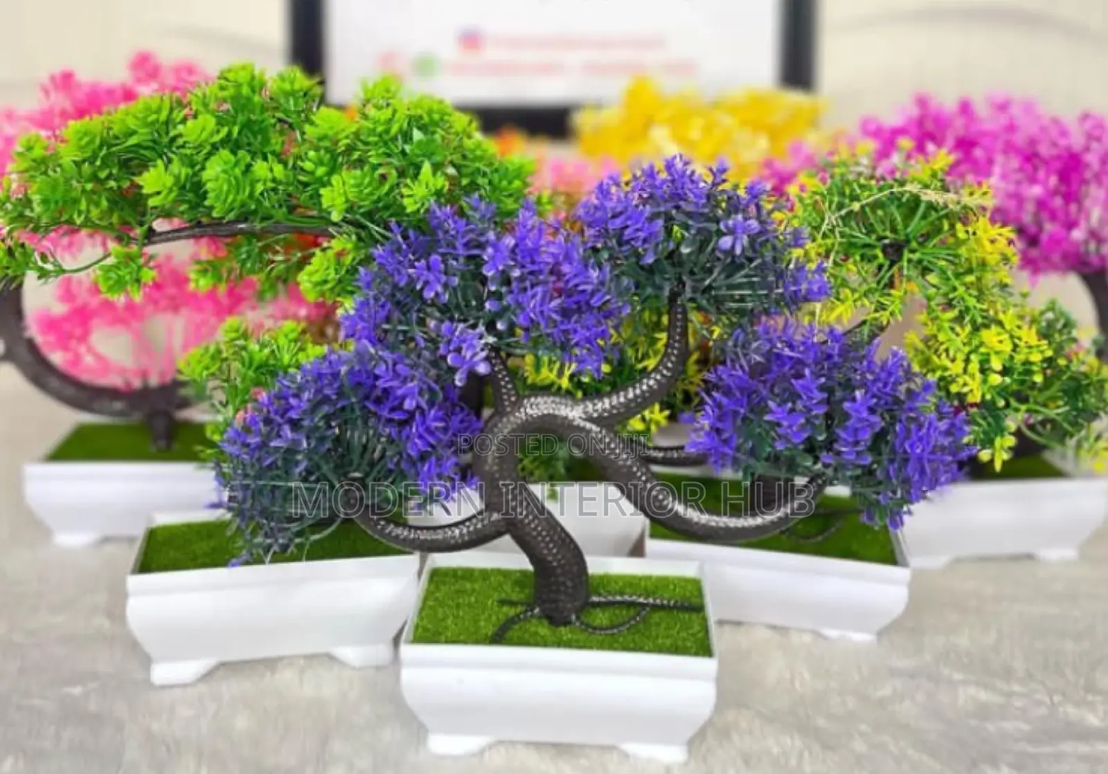 Cup Flower