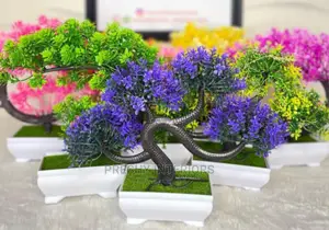Cup Flower