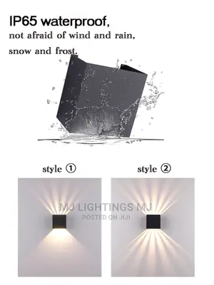 Outdoor Lighting LED Wall Lights