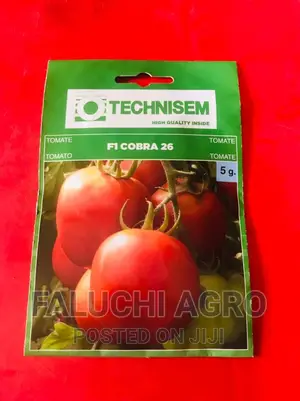 Hybrid Tomato Seed ( Cobra F1 - 5g )