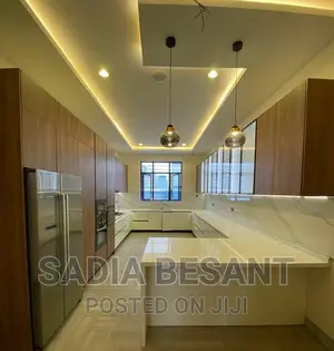 Luxury Kitchen Cabinet Design With Accessories
