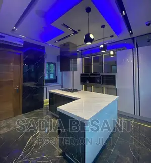 Luxury Kitchen Cabinet Design With Accessories