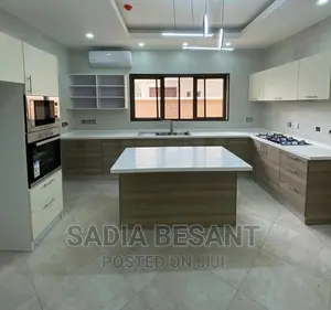 Contemporary Kitchen Cabinet Design With Accessories