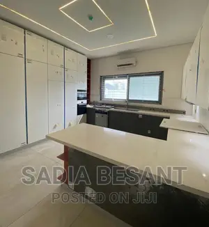 Exquisite Kitchen Cabinet Design With Accessories