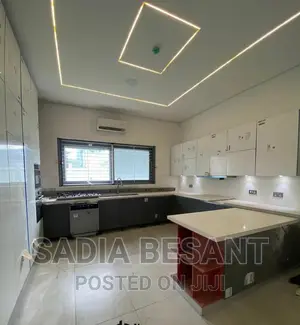 Exquisite Kitchen Cabinet Design With Accessories