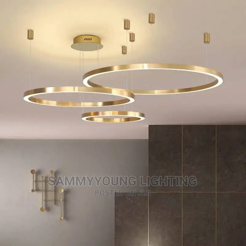 Modern Nordic Chandelier Light