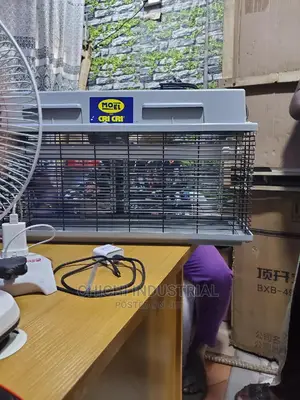 Fly Catcher ( Insect Killer) Cri Cri