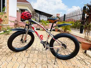 Mountain Bicycle