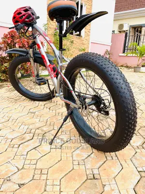 Mountain Bicycle