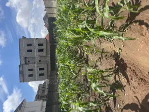 A Very Good and Fence With Gate Fcda Plot