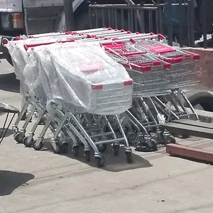 Supermarket Trolley