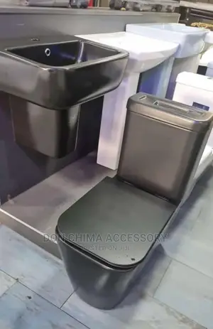 Black Luxury Toilet